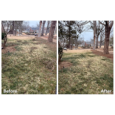 Essential-Spring-Cleanup-in-Oxford-MS 2